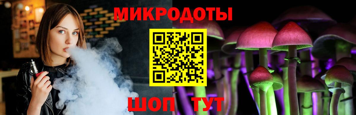 Псилоцибиновые грибы Psilocybe Тосно